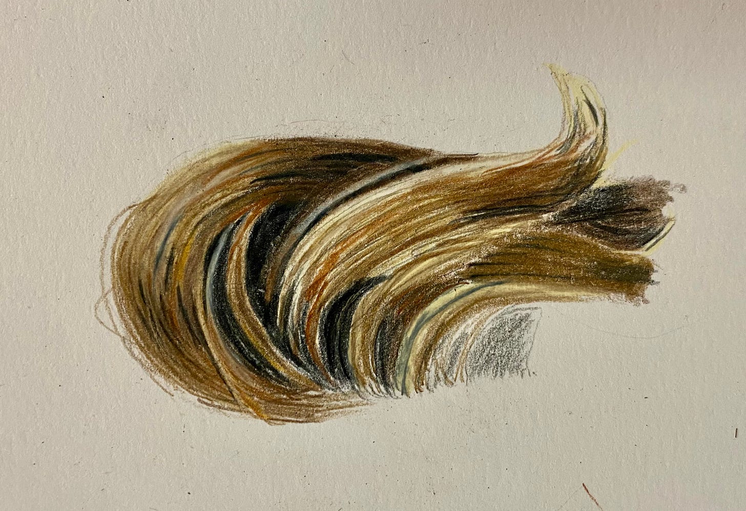 My first attempt at hair